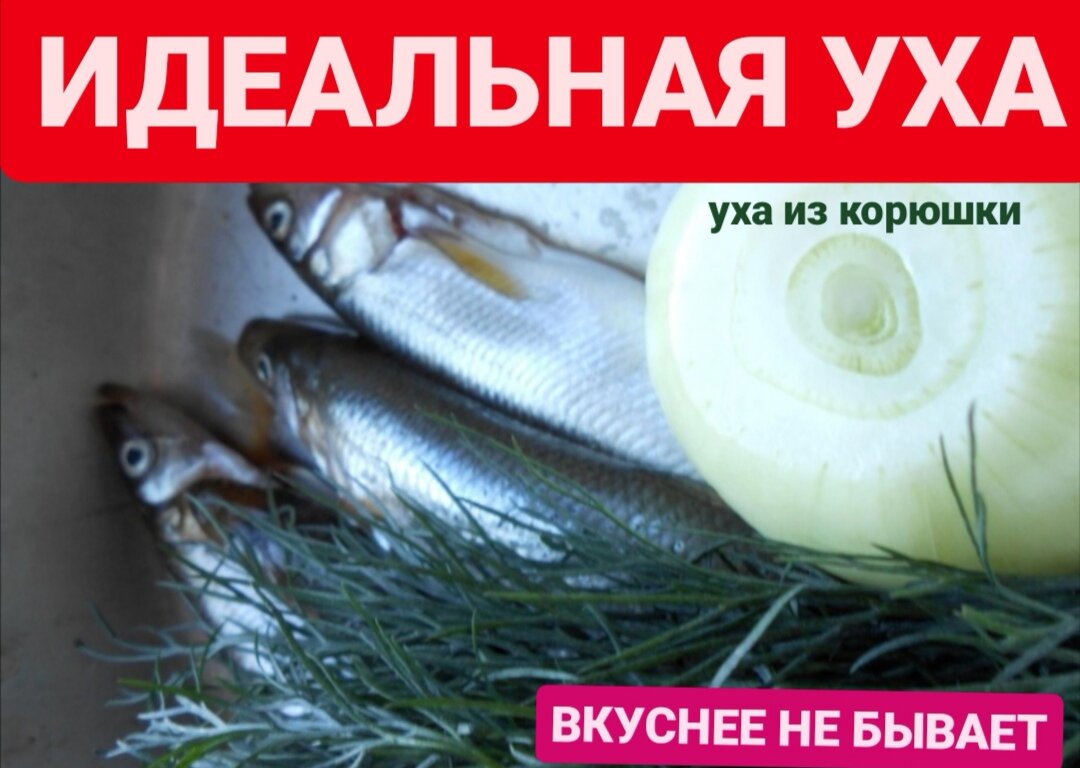 Только свежая. В илеале пойманная сегодня. 