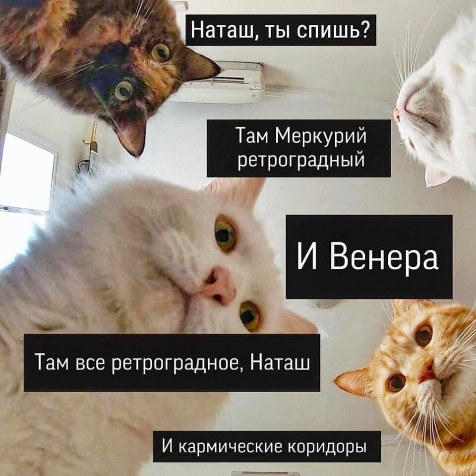 Меркурий смешные картинки