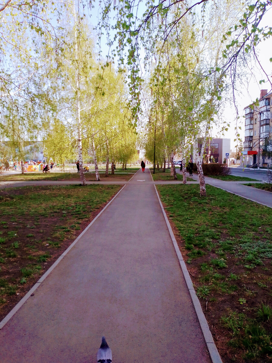 Любимый сквер горожан 