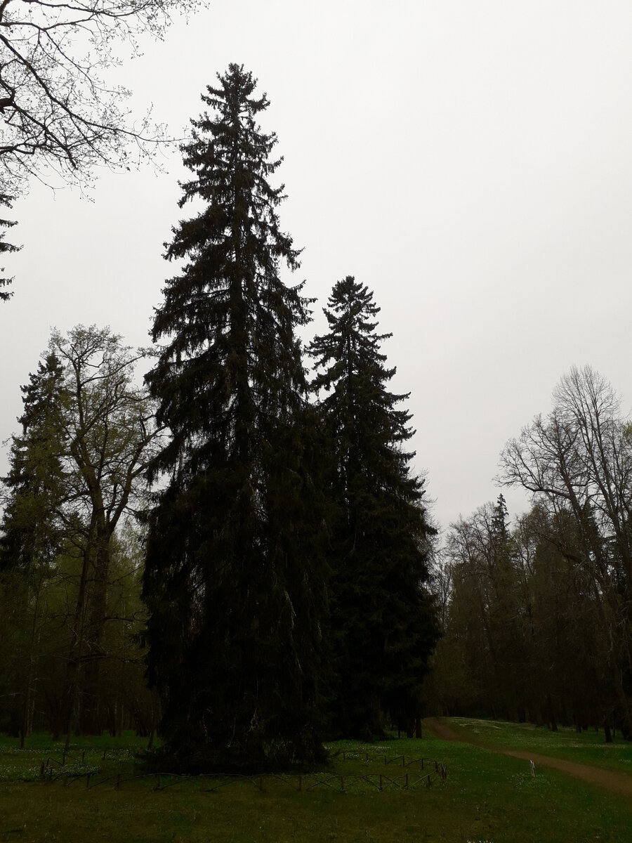 30 апреля 2023 12:48