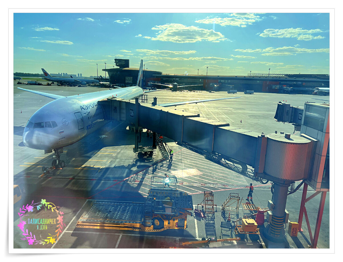Сегодня сплошь красивые картинки, да ✈✈✈ За 4 дня у меня было 3 перелёта.