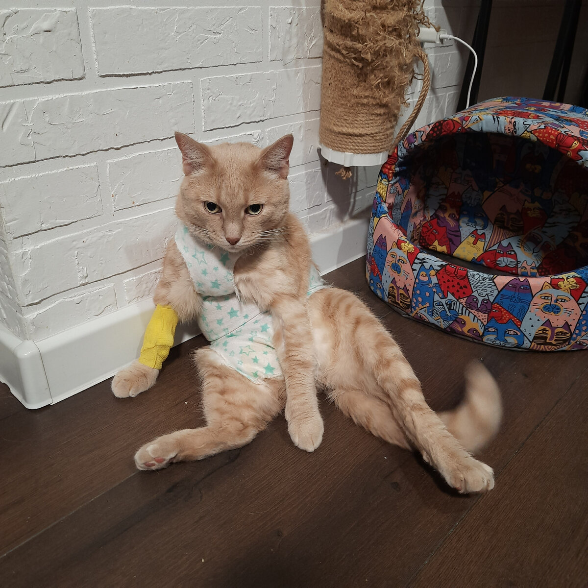 Мне кажется, или Скизи тут похож на пьяную домохозяйку в передничке?)