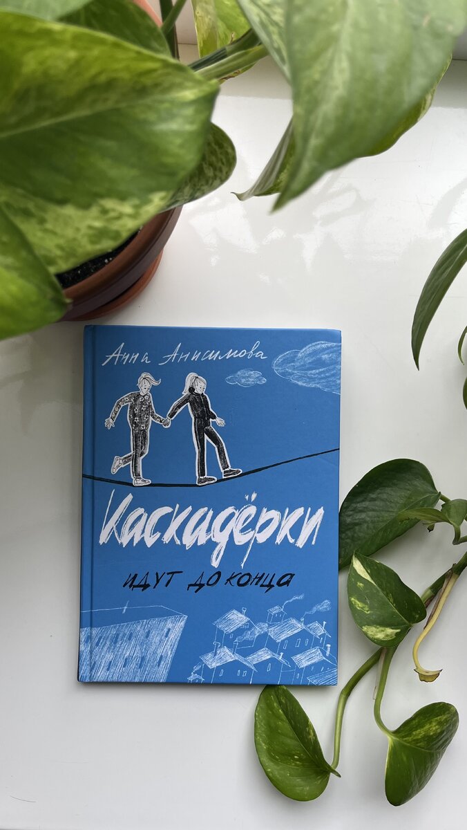 «Каскадёрки идут до конца» Анна Анисимова. Издательство «Волчок»