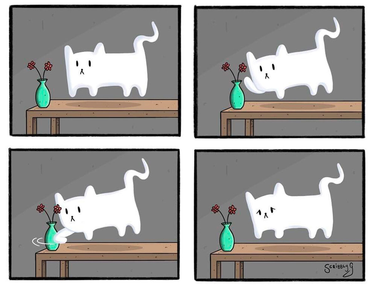 Котик привидение