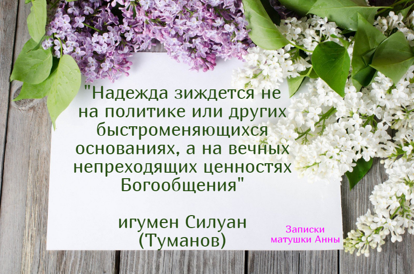 Интересное мнение игумена Силуана Туманова | Записки матушки Анны..🍁 | Дзен