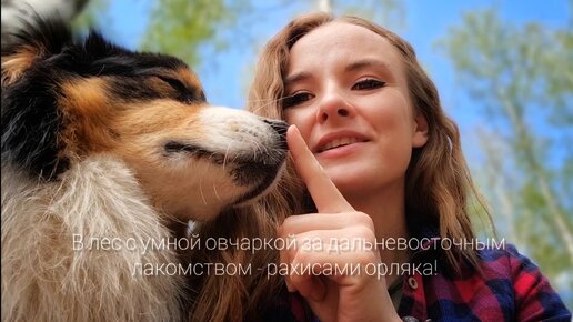 В лес с умной овчаркой за рахисами орляка! Азиатское лакомство у вас под ногами💚