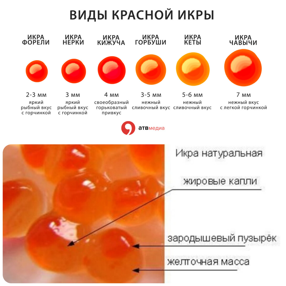 Фото из интернета.