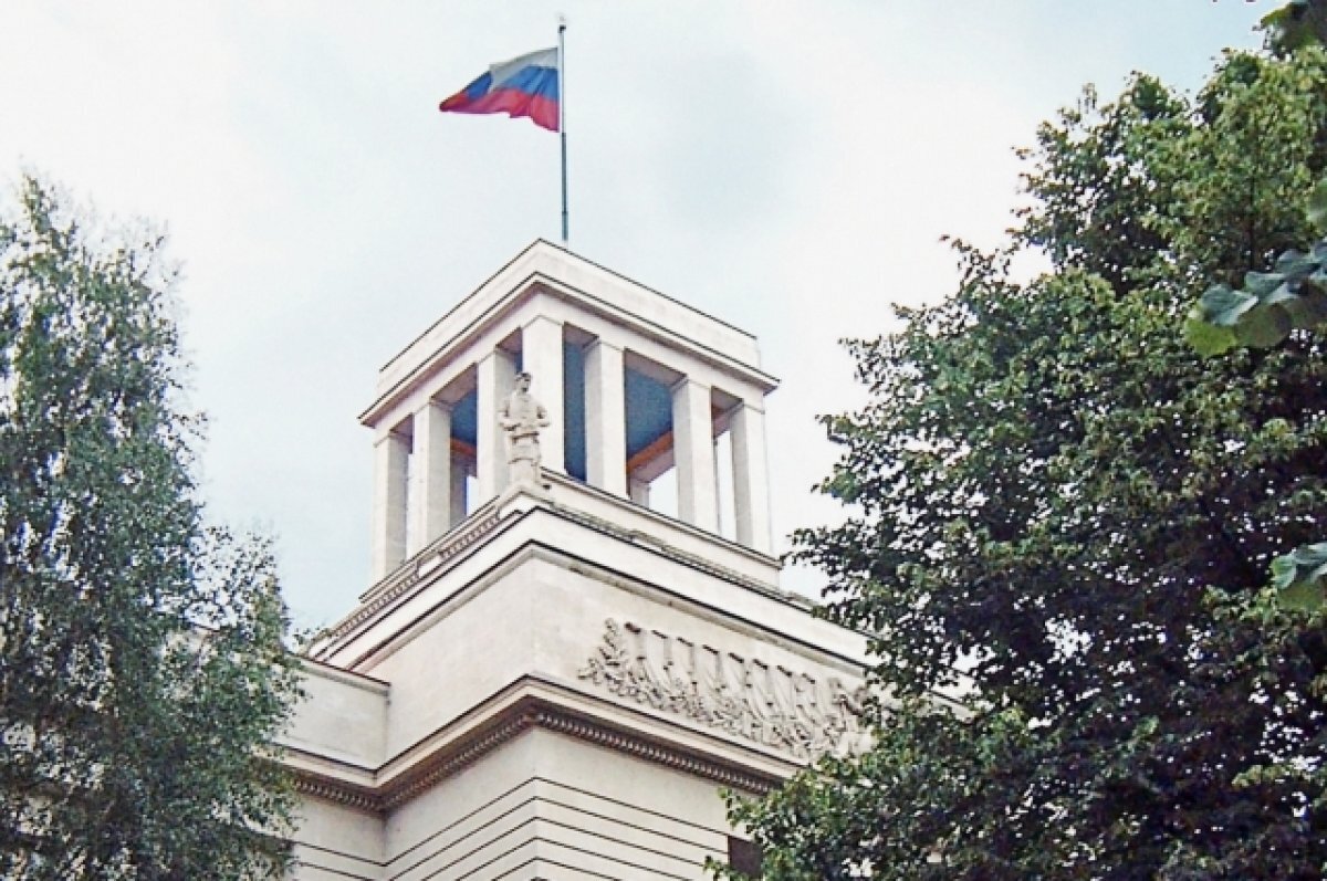    Посол назвал аморальным запрет властей Берлина на демонстрацию флага РФ