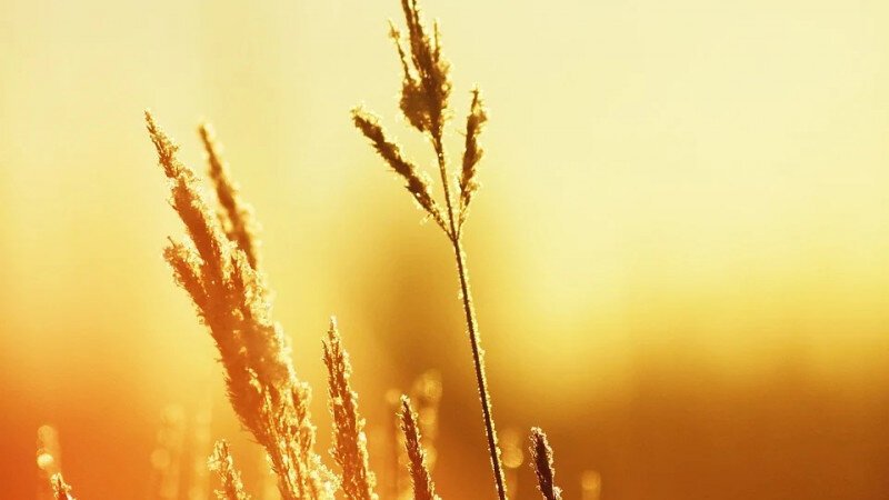     Жара. Солнце. Погода. СС0