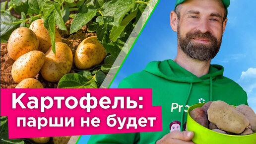 Что сделать, чтобы картофель не болел паршой? Как избавиться от парши картофеля