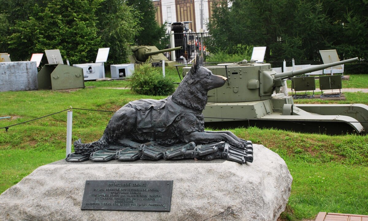 Памятник фронтовой собаке