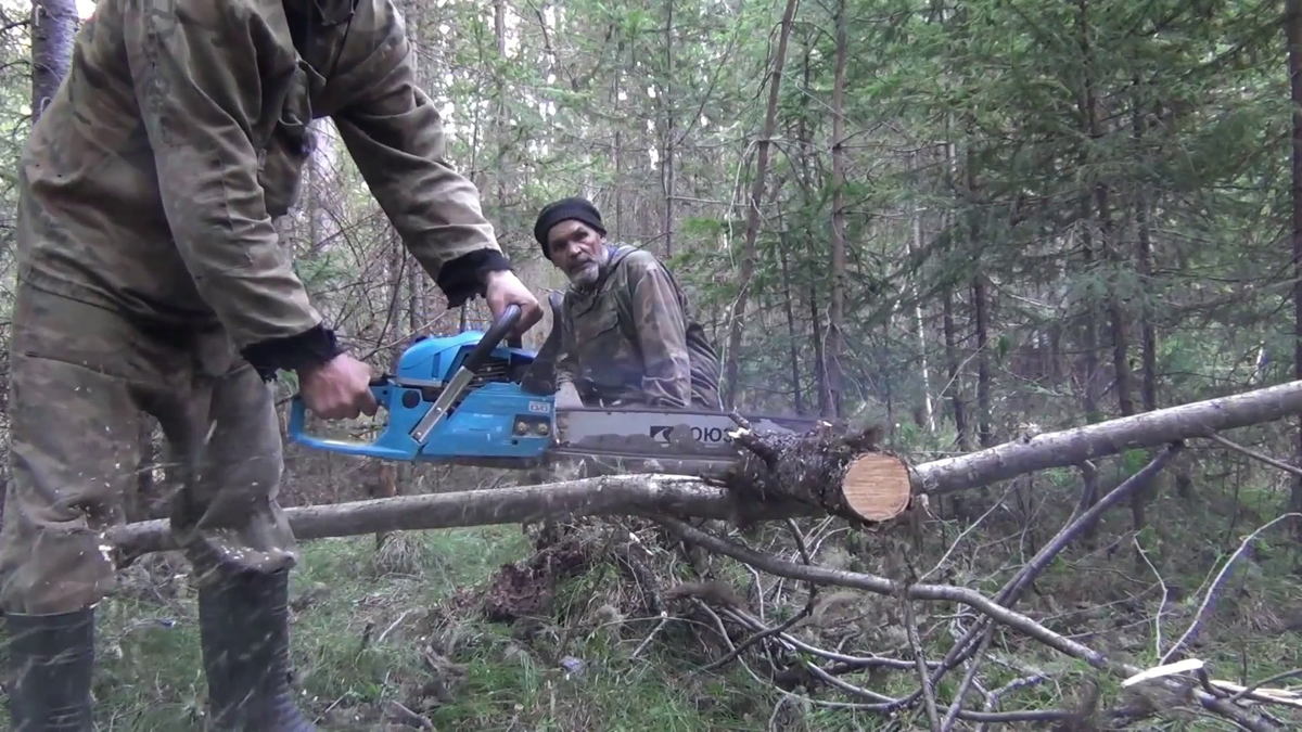 Продолжаем трудится в тайге. Заготовка дров на ночь. Работаем вдвоем Федорович подает, а я пилю.  - (смотрите на видео внизу статьи)
