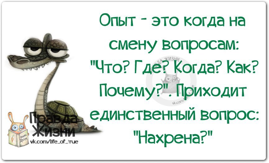 Единственный вопрос. Смешные цитаты про опыт. Афоризмы про жизненный опыт прикольные. Цитаты про опыт. Фразы про опыт.