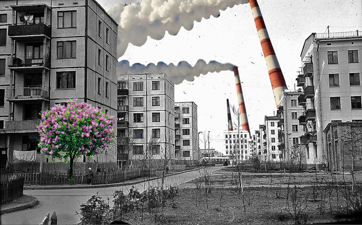 Первый принцип советского природопользования — рациональность.