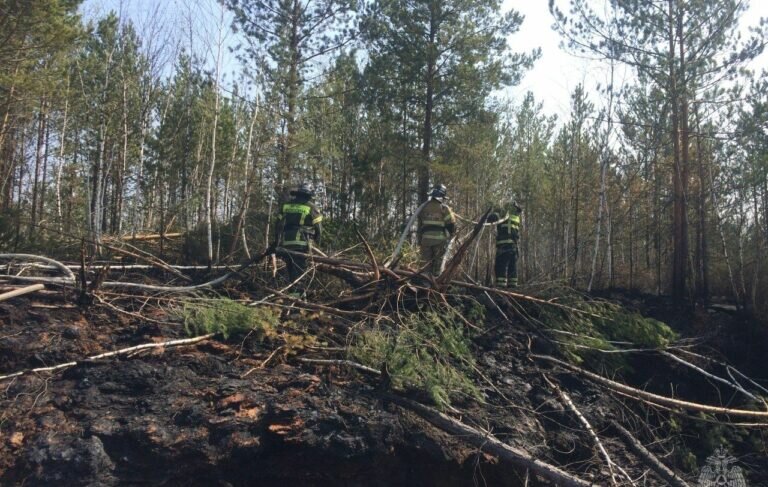    Оренбургские огнеборцы помогают тушить природные пожары в Тюменской области Кристина Просвиркина