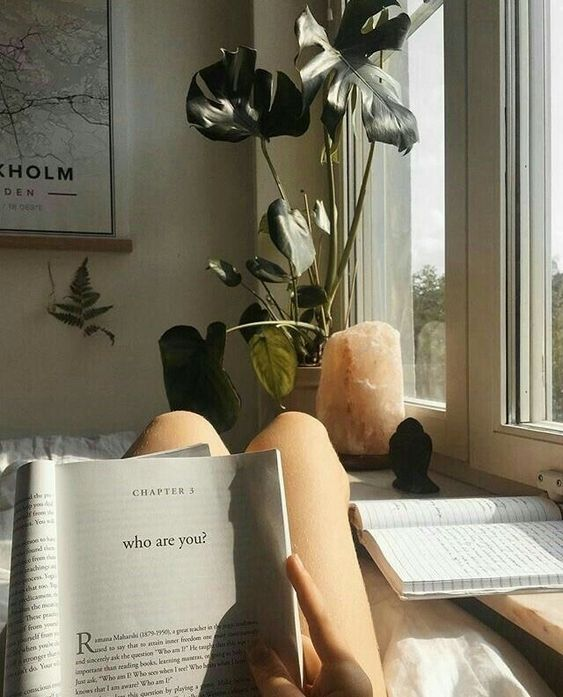 Источник: pinterest.com 