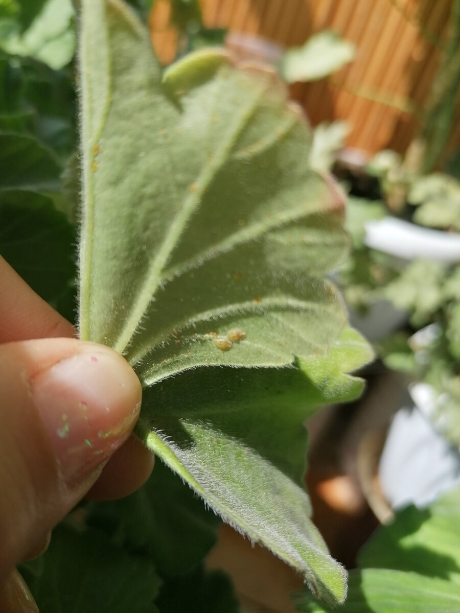 Здрасссте. Давно не виделись. 