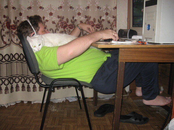 фото из открытых источников