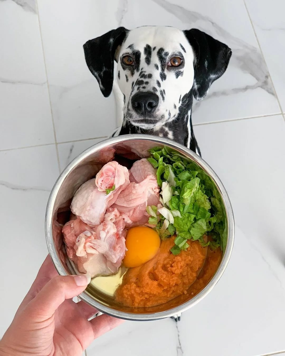 Натуральное питание для собак | Зоомаркет Баффи | Дзен