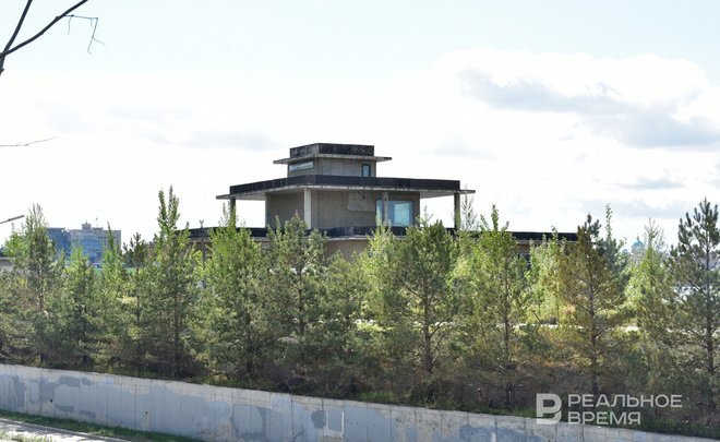 Фото: realnoevremya.ru/Елизавета Пуншева 