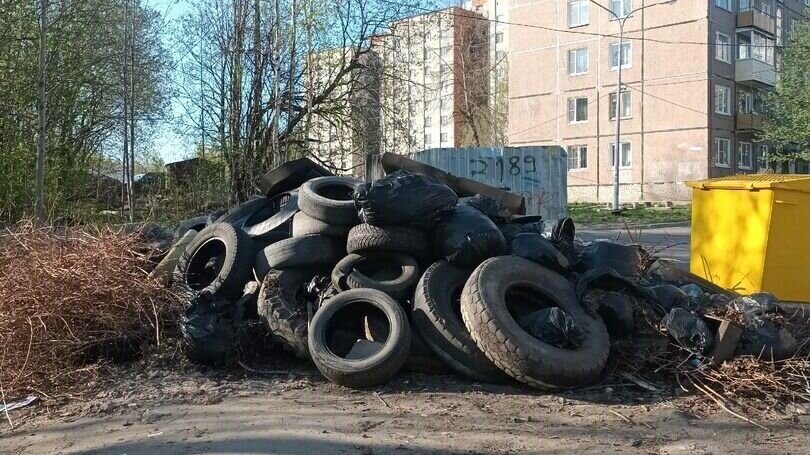     Неравнодушные горожане предлагают переплавить бесхозные шины в покрытие для детских площадок. Фото скоплений покрышек появились в соцсетях.