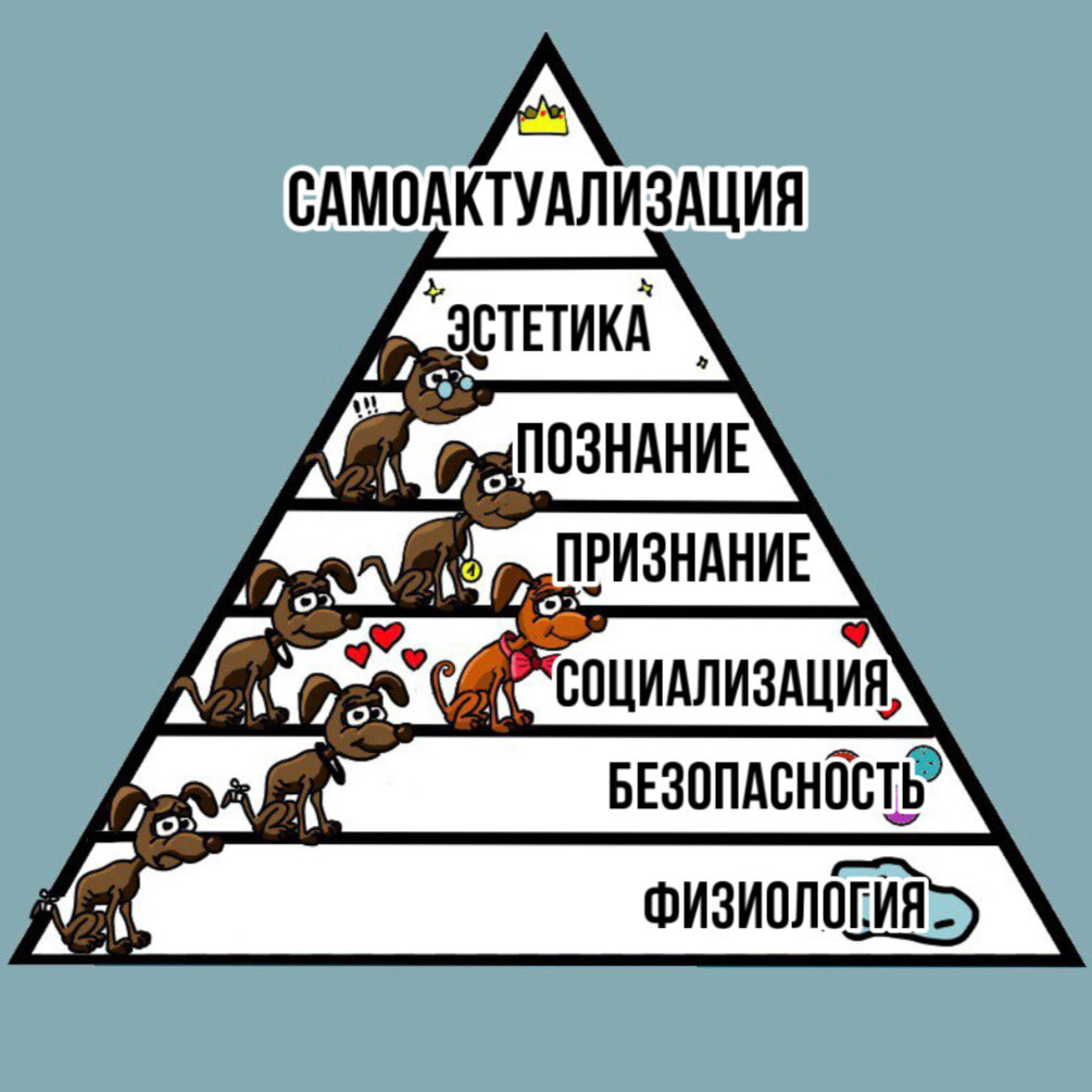Полная Пирамида Маслоу 