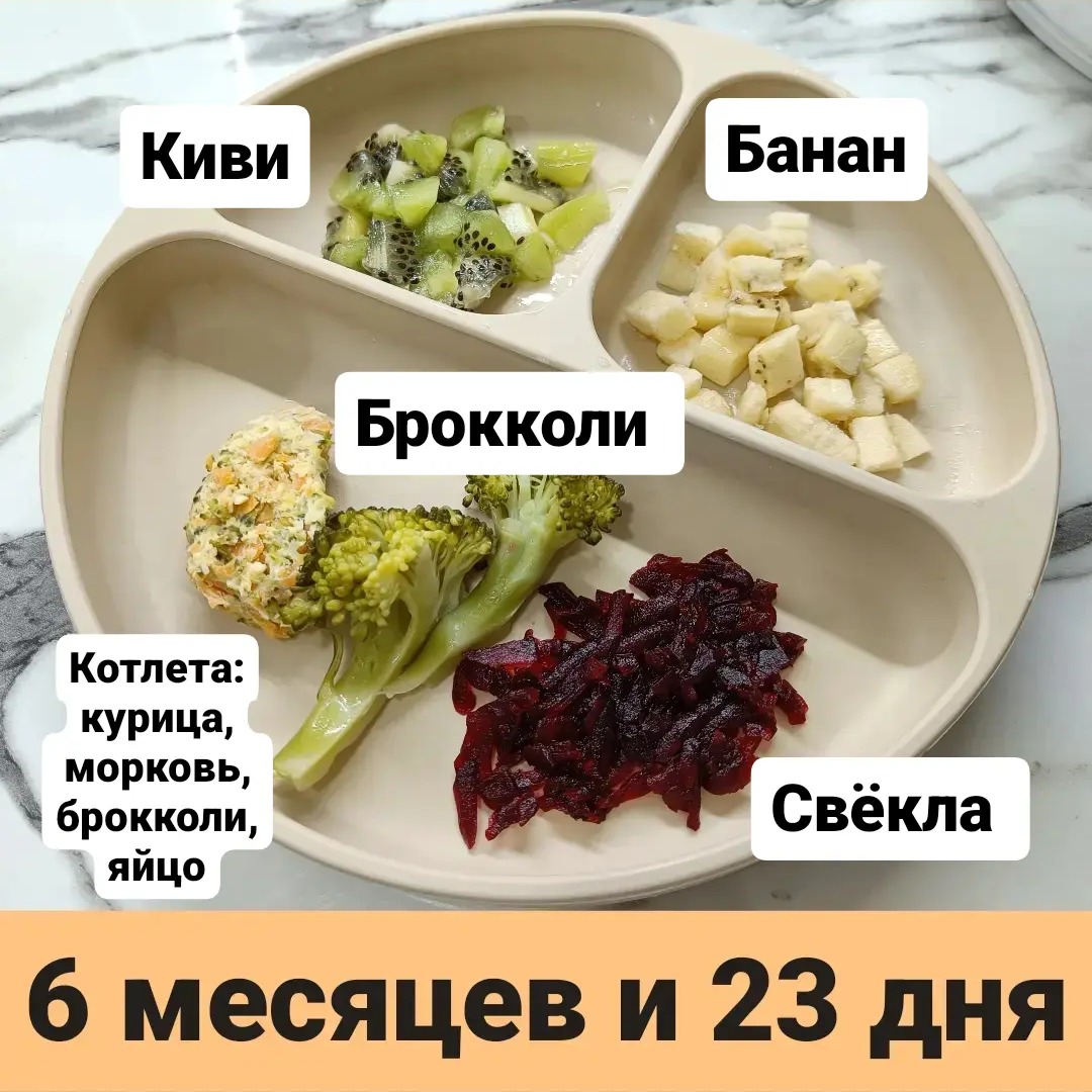 Пример тарелки в 6 месяцев 