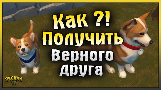 Download Video: Событие Верный Друг или Собаковод! Как получить Верного Друга! Last Day on Earth: Survival