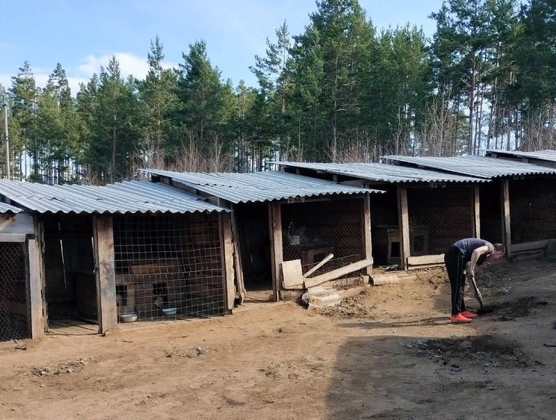 Волонтеры помогают убирать вольеры