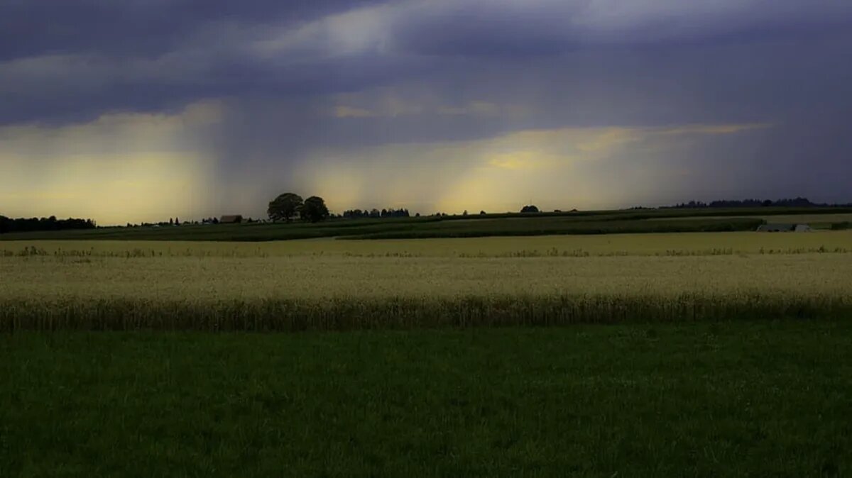 Длительные прогнозы от Яндекс.Погоды и Gismeteo. Фото: www.piqsels.com