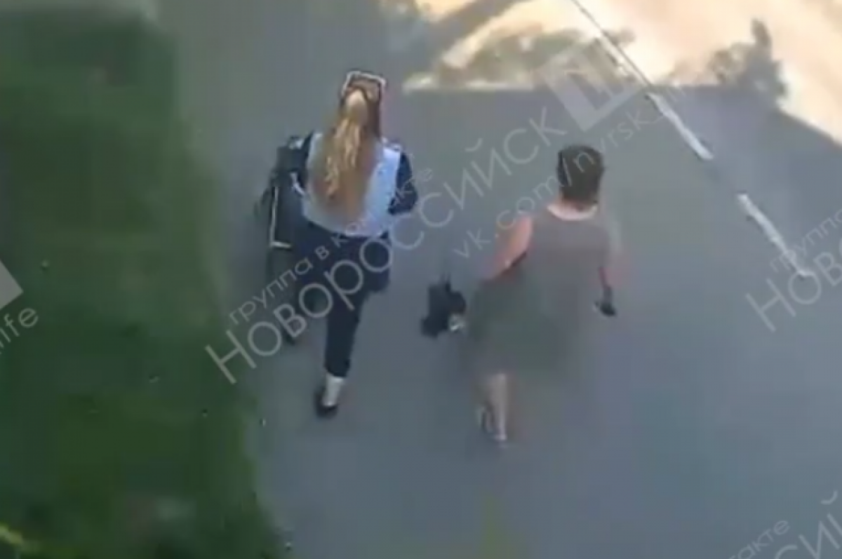    В Новороссийске женщины вытряхнули из пакета на асфальт двух котят
