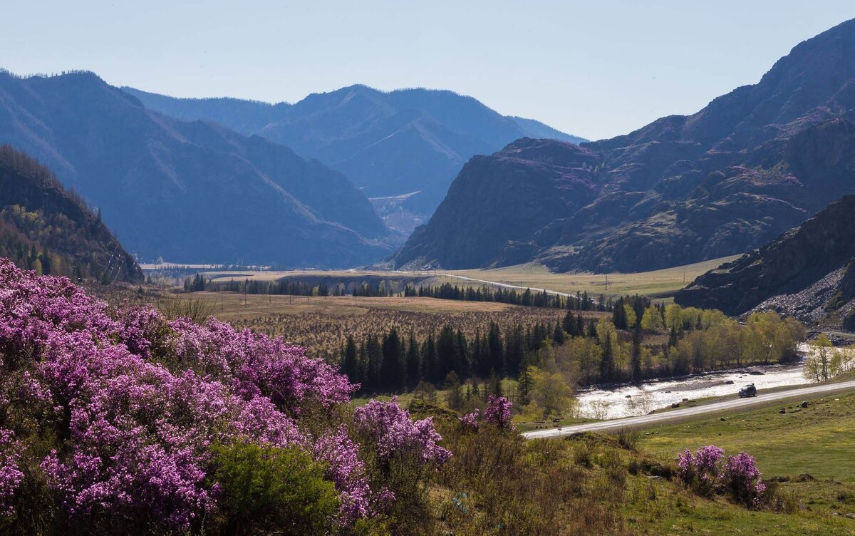 Весна в горном алтае фото