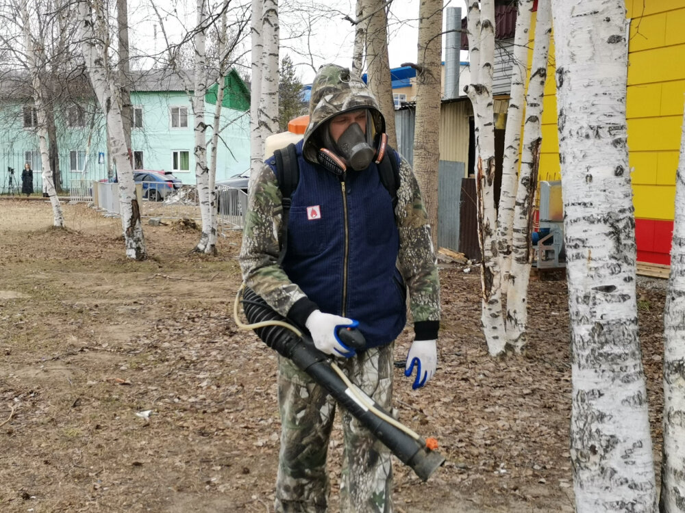    В Сургутском районе начали борьбу с насекомыми и грызунами