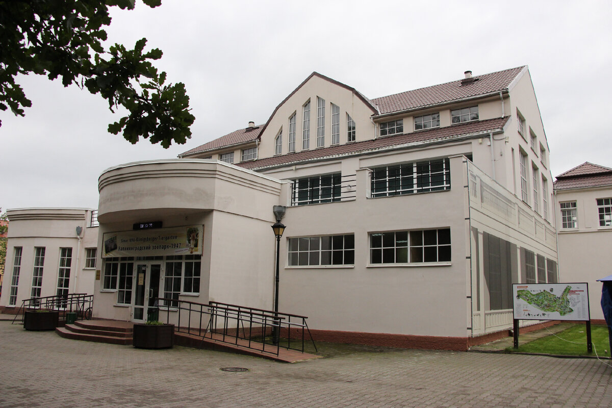 Вот так выглядит административное здание Калининградского зоопарка, фото 2017 года