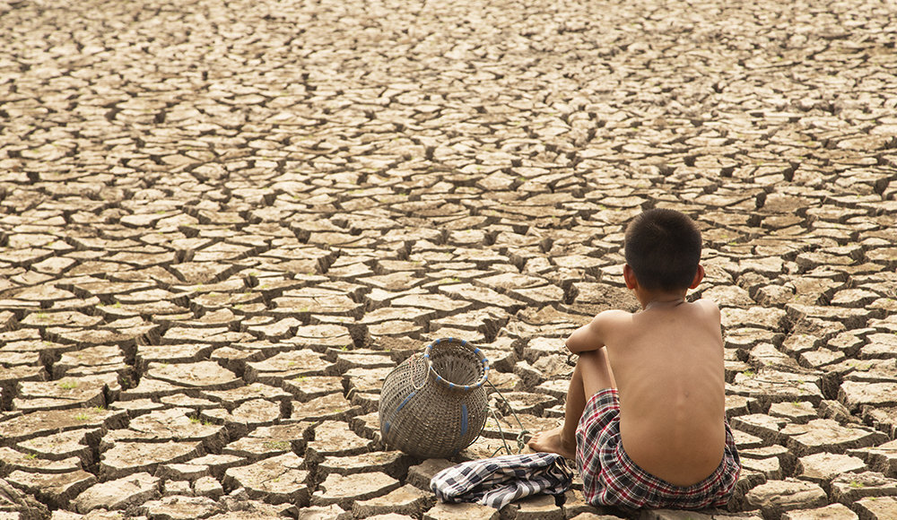    Фото: из открытого источника