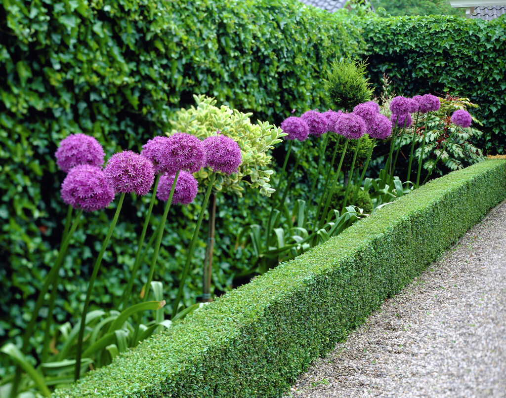 Фото с инета