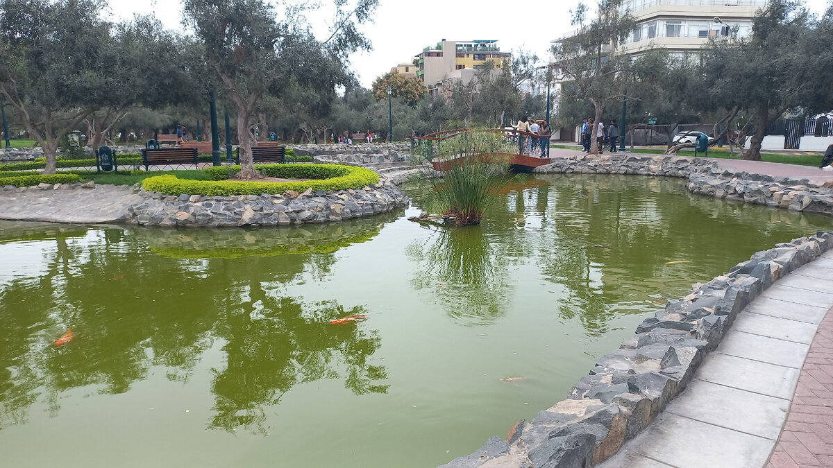 новый лдс в новосибирске. окно в перу дзен. самый 1 человек в мире в 1 году. круглое окно в японском доме. волчьи ворота чибий.