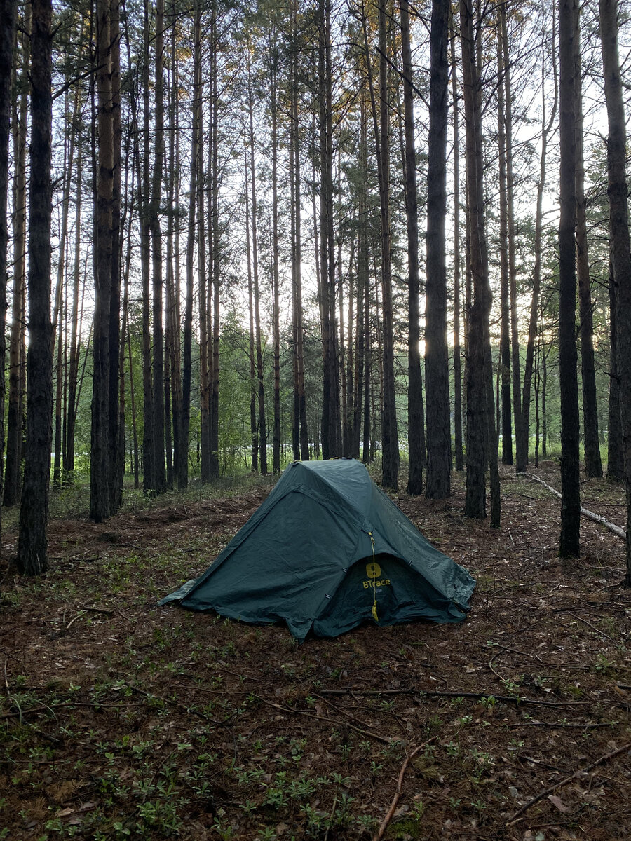 Окрестности Заводоуковска. 