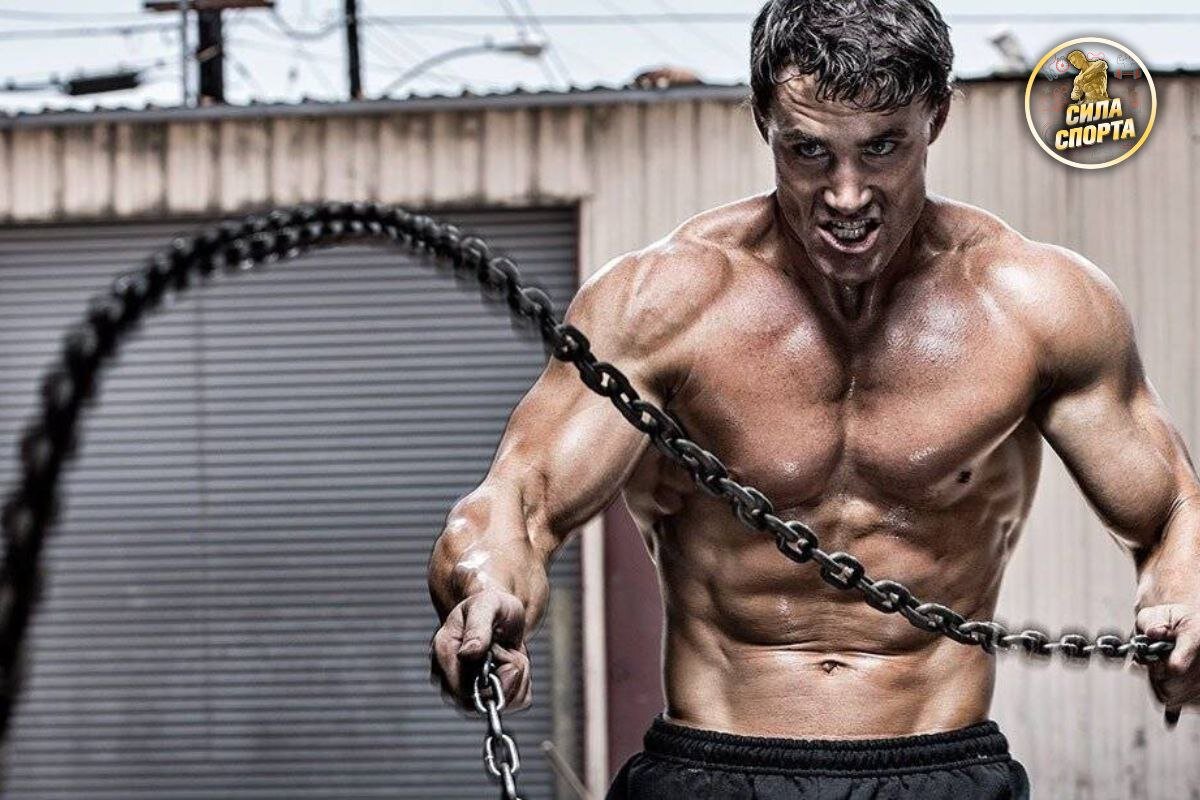 Источник "Яндекс.Картинки"