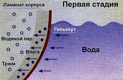 Фото из интернета
