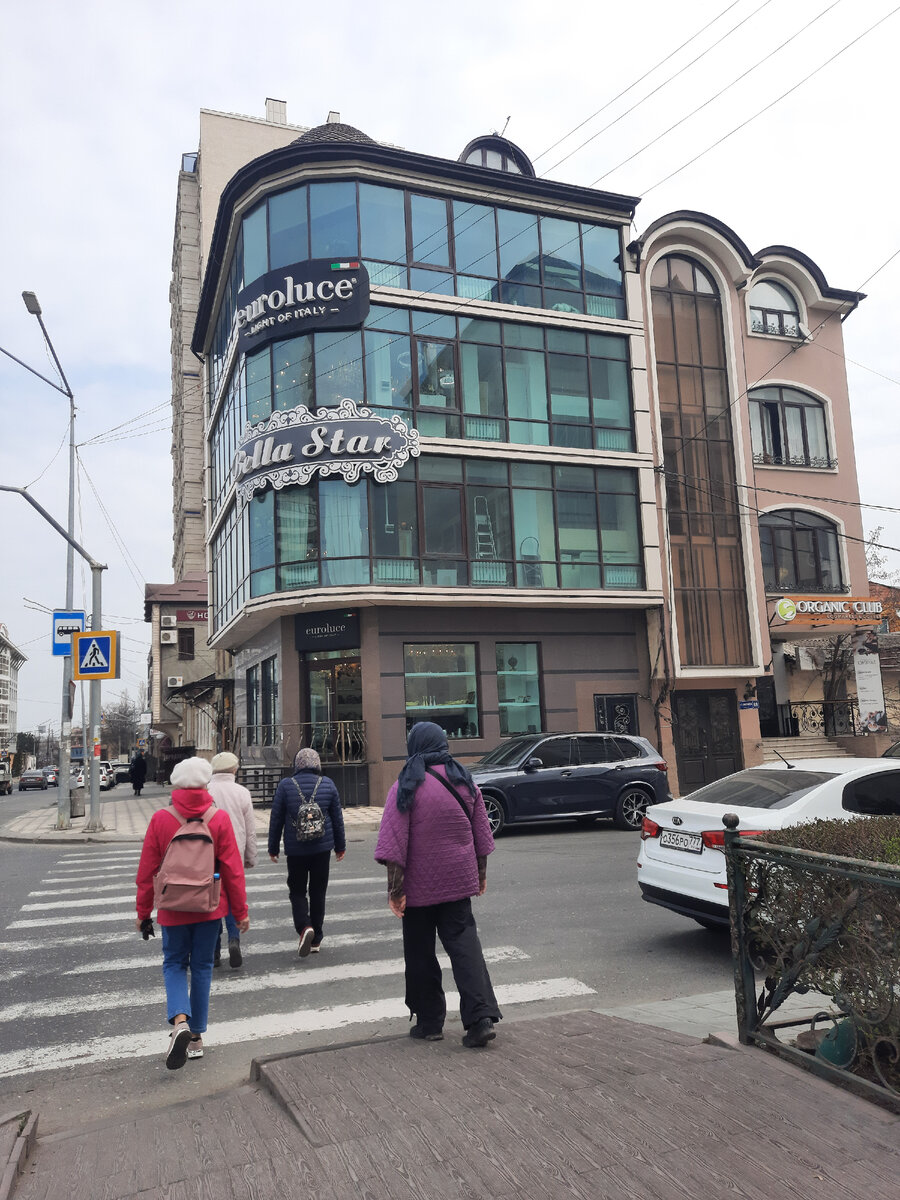 Шагают мои путешественницы