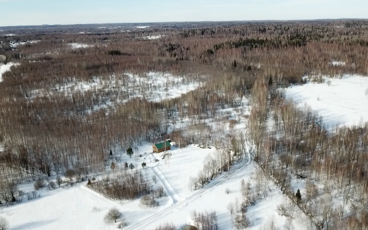 Очистили около 30 соток Ивы, занятие не из дешевых.