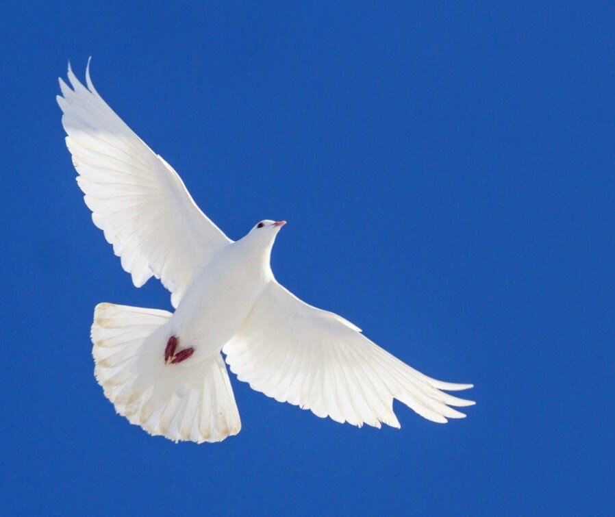 Картинка с просторов интернета без претензий на права