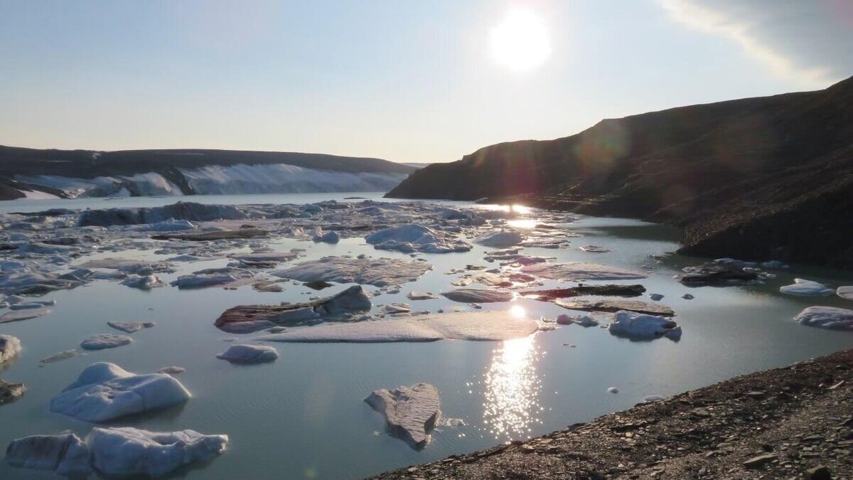 Сезар арктика остров большевик фото