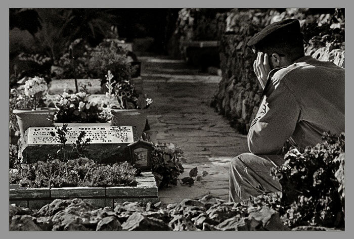 Фото взято из интернета 