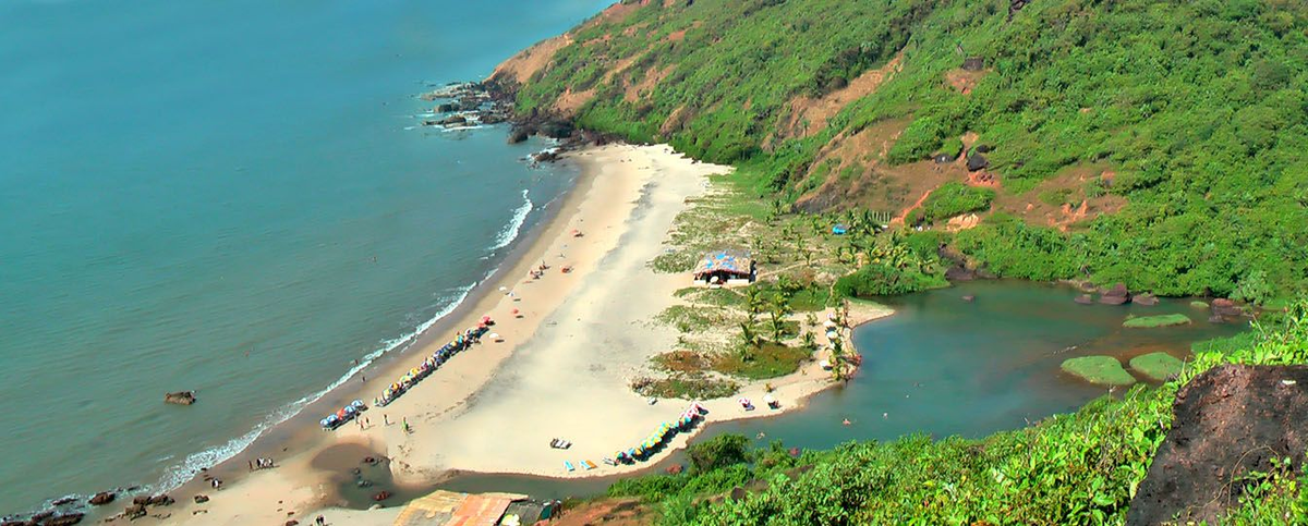 Фото взято из сервиса яндекс картинки