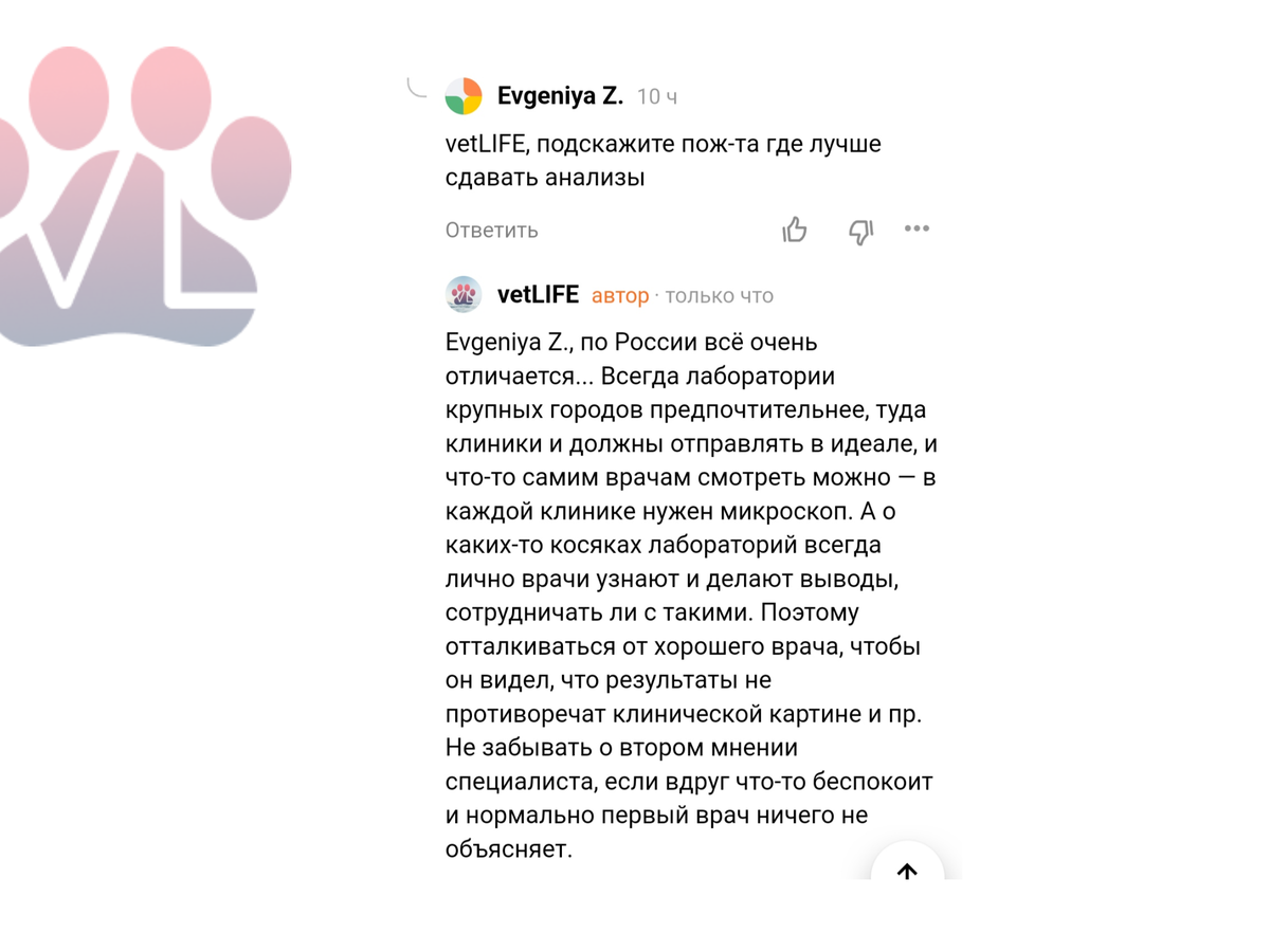 Ответы на вопросы: ветеринар-заводчик может брать деньги за консультации? И  многое другое! | Ветеринарный диетолог vetLIFE | Дзен