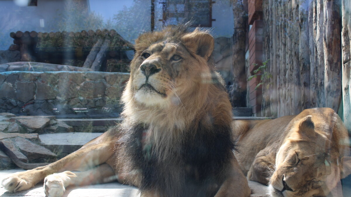 ИА SM News Екатеринбург📷
