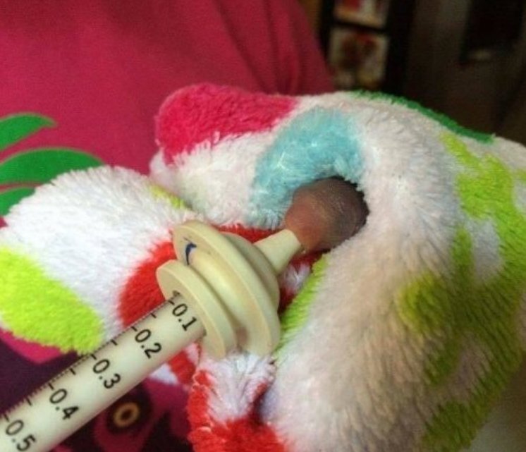 История начинается с того, что героиня этой истории рассказала в соц сетях о непонятном существе, которое они с сыном хотели сначала выкинуть.-3