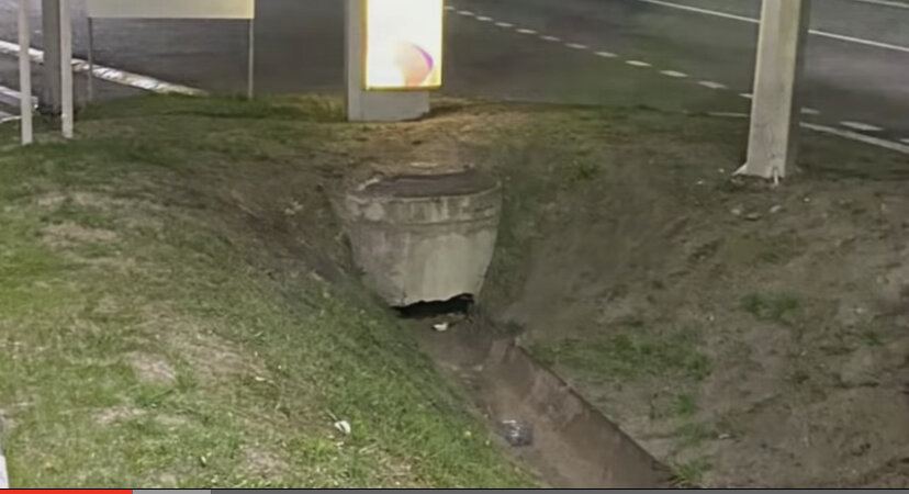 Вот здесь они выживали...